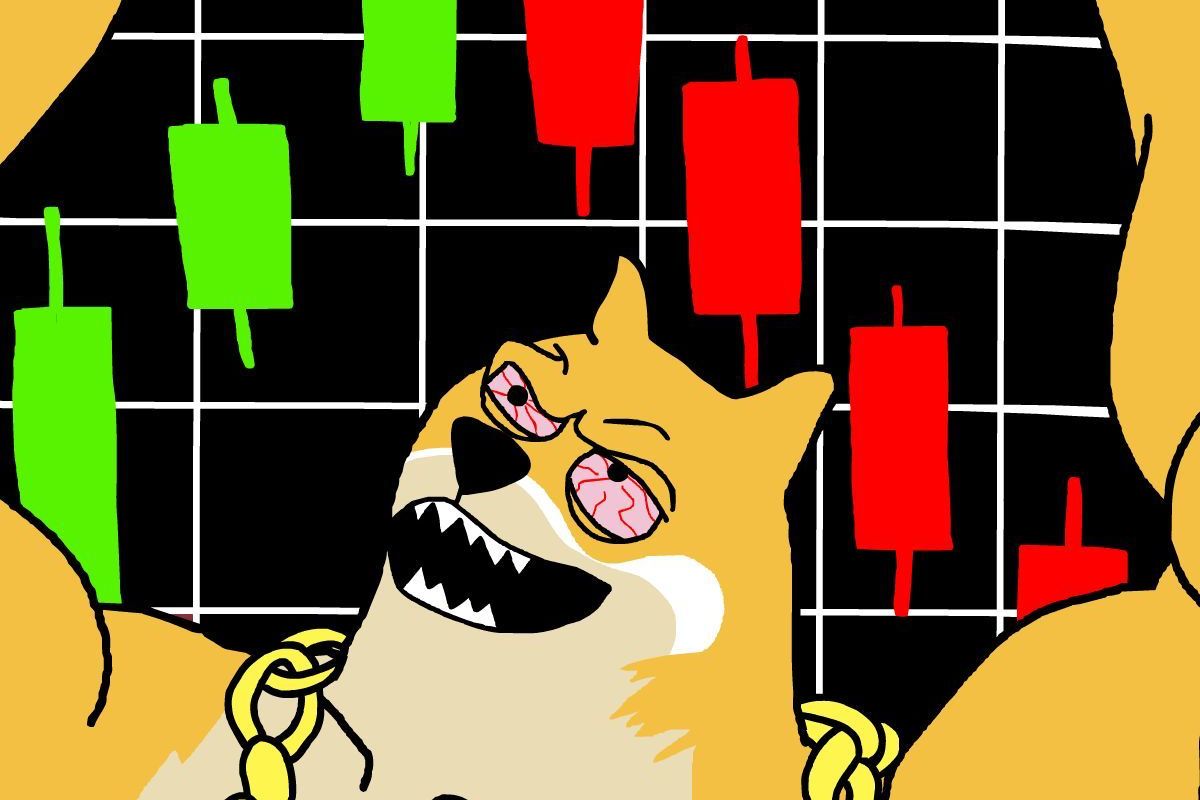 แม็กซี่โดจ์ สุนัขน่ารักที่ทุกคนหลงรัก 21-11-2025