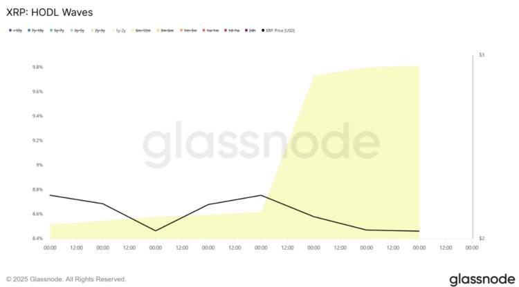 กราฟพื้นที่และเส้นแสดงข้อมูลการถือครองและราคา XRP