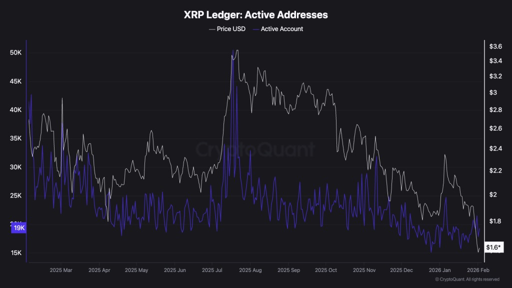 XRP active addresses 2026-02-04