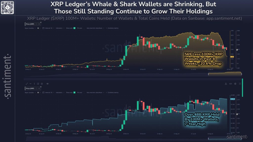 xrp kriptovaluta nakup