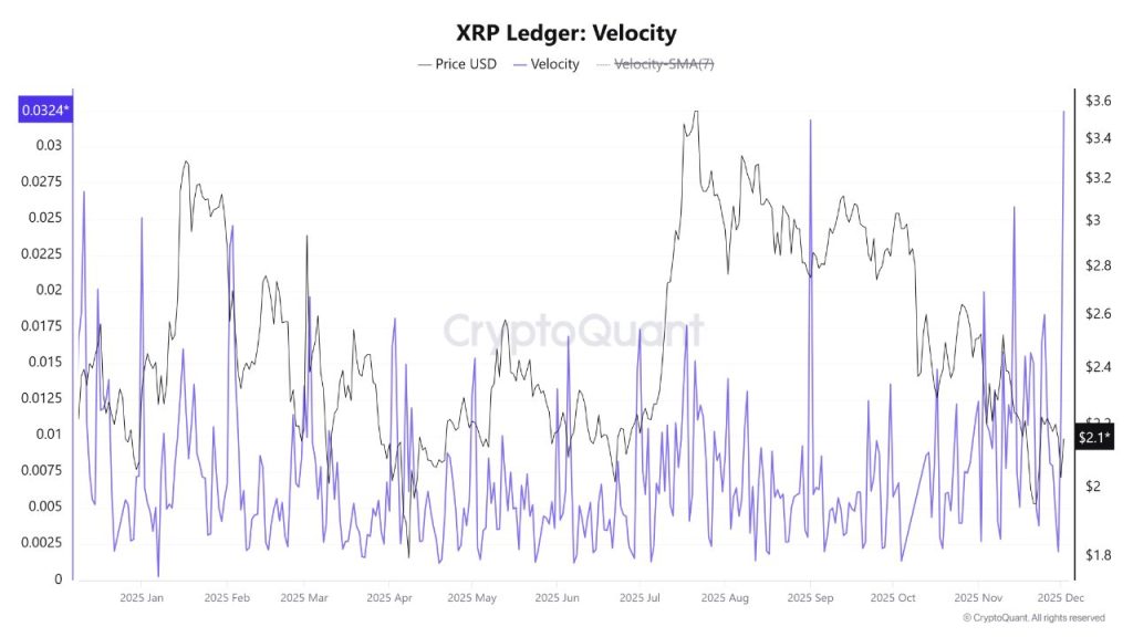 xrp ledger