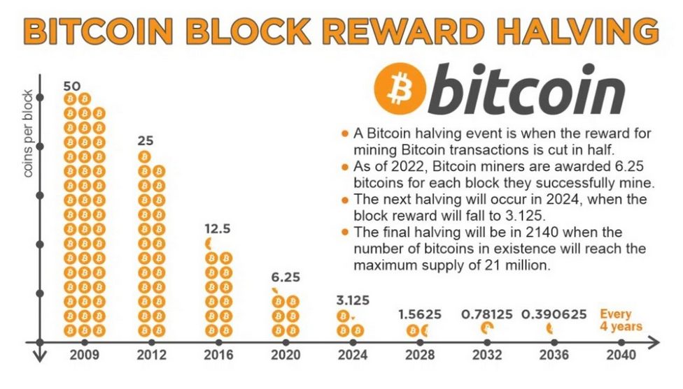 Druhy kryptoměn a jejich těžba: Výše odměn těžařů bitcoinu za jeden blok.