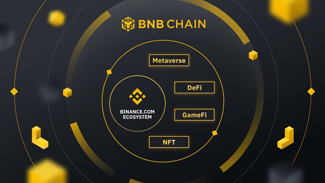 Binance recenze - BNB Chain