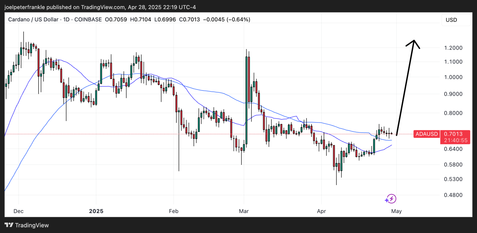 Analýza ceny cardano: Čeká nás 100% růst ceny ADA?