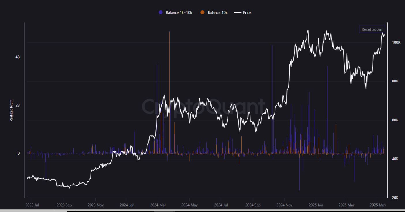 Velryby zatím realizují méně zisků než dříve. Zdroj: CryptoQuant
