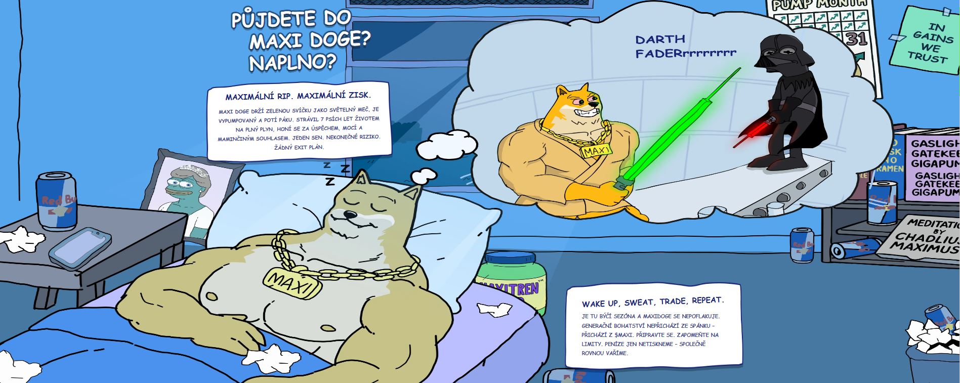 Maxi Doge o projektu