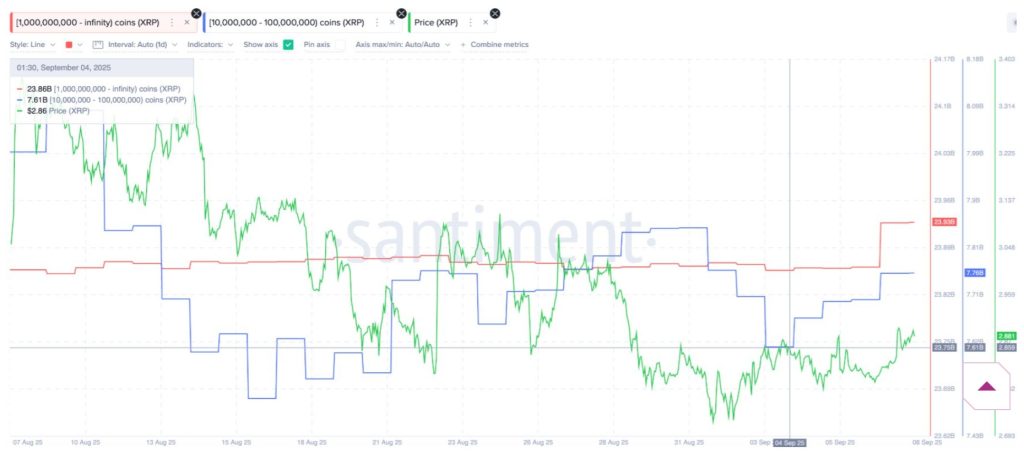 Celková zásoba XRP držená velkými investory. 