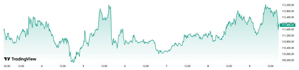 Graf bitcoinu za poslední týden Zdroj: Tradingview.com