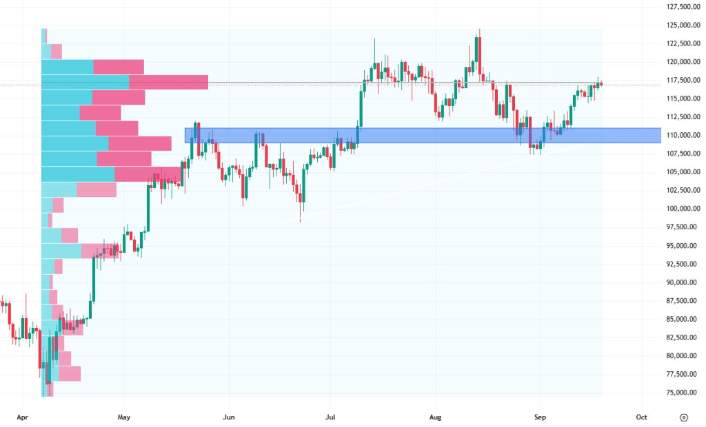 Denní cenový graf bitcoinu, který i po snížení sazeb roste.