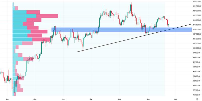 Denní cenový graf bitcoinu, cena BTC se nachází kolem 113 000 USD.
