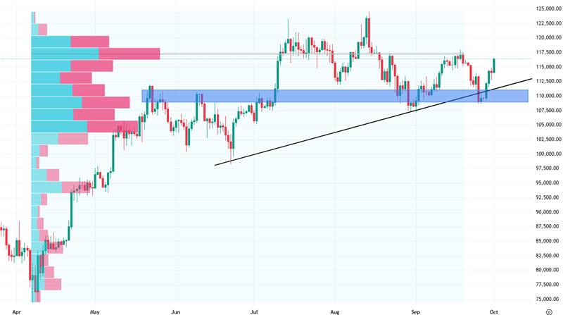 Denní cenový graf bitcoinu, který opět roste nad 117 000 USD