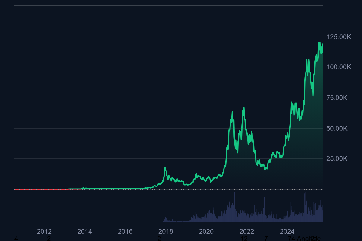Bitcoin vzrostl přibližně 1,9 milionkrát oproti své původní ceně.
