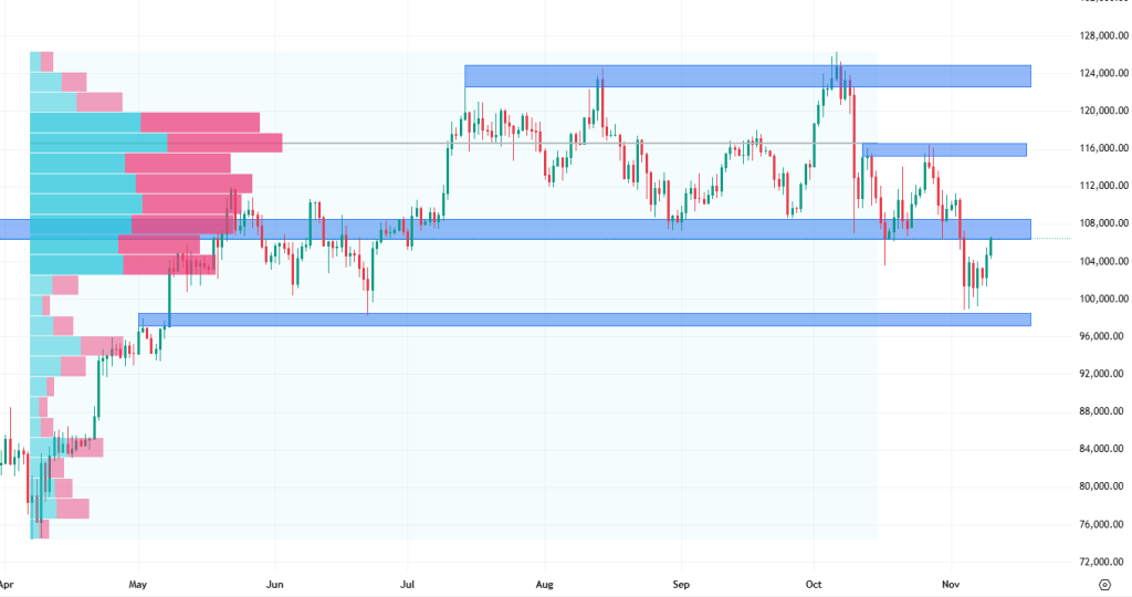 Denní cenový graf bitcoinu, který se blíží k hodnotě 110 000 USD.