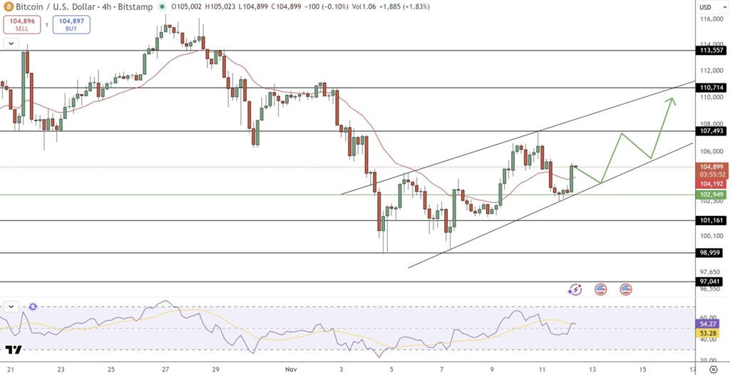 Cenový graf bitcoinu a indikátor RSI. 