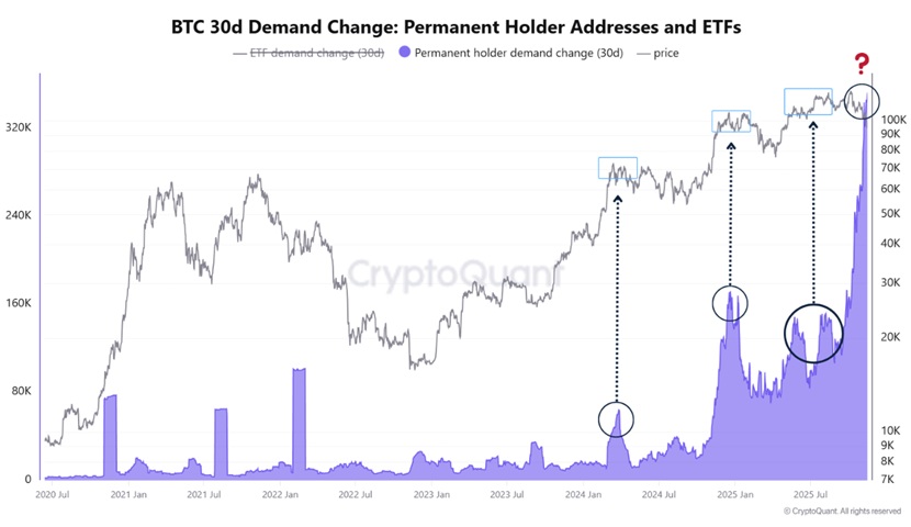 Poptávka po bitcoinu ze strany dlouhodobých držitelů roste. 
