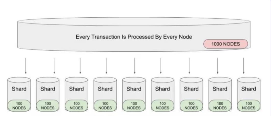 Tisíc uzlů lze rozdělit do deseti shardů po stovce uzlů a dosáhnout tak desetinásobného zvýšení výkonu. Zdroj: alchemy
