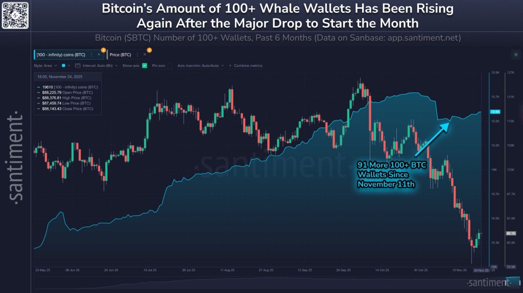 Po velkém výprodeji roste počet velrybích peněženek. Zdroj: Santiment