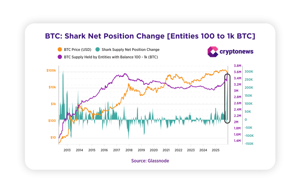 Tzv. žraloci, což jsou držitelé většího množství bitcoinů, ve velkém nakupovali. 