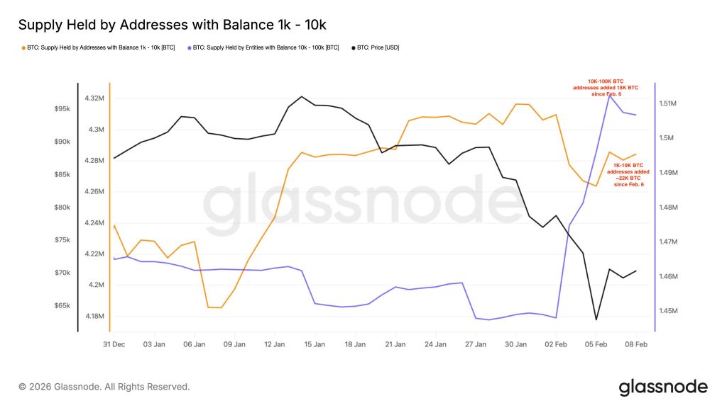 Dle on-chain dat z Glassnode velcí hráči na cenách okolo 60 000 USD za Bitcoin ve velkém akumulovali