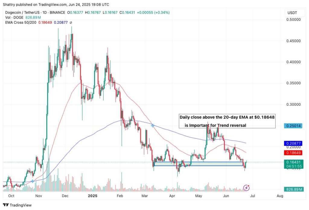 trading view wykres 11 doge tether