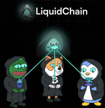 Jak kupić LiquidChain – poradnik dla inwestorów