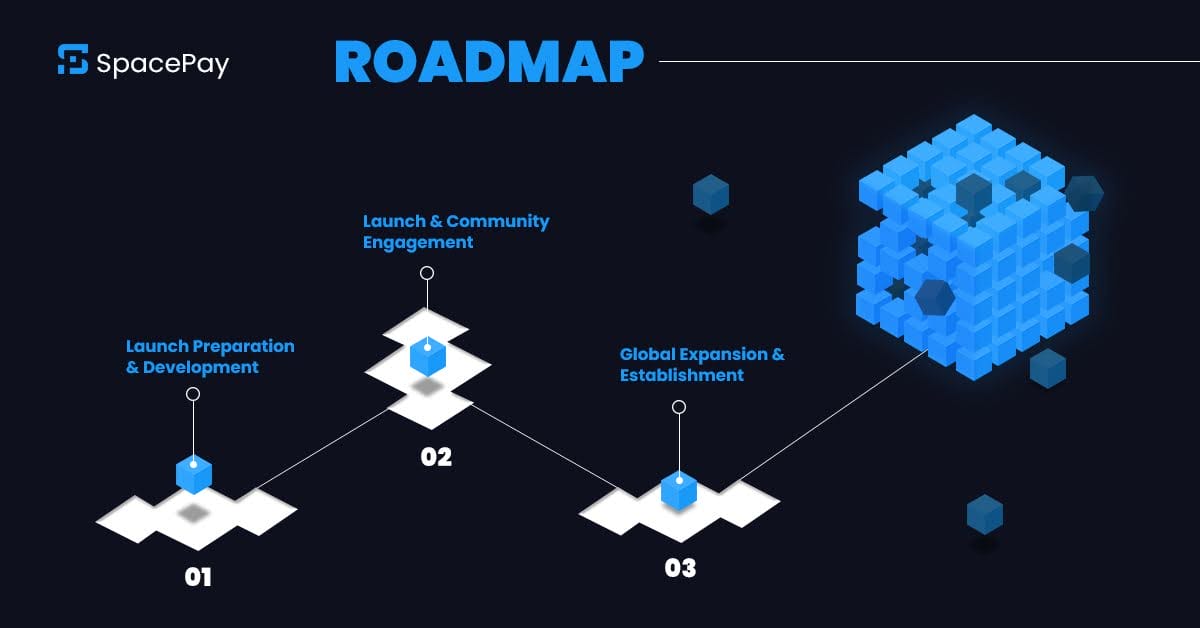 space-pay roadmap