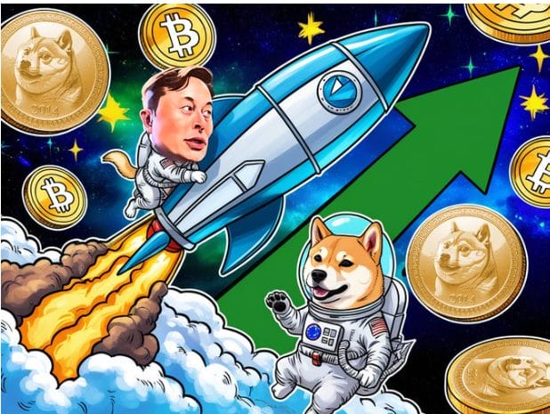 accès VIP exclusif doge2014