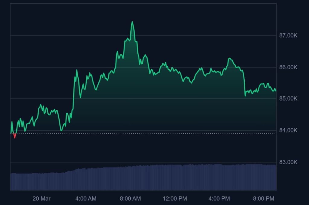 BTC Bull