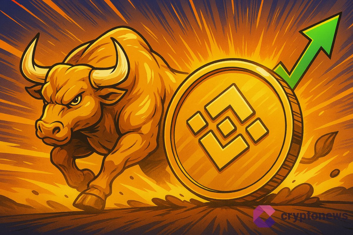 Bull Run BNB