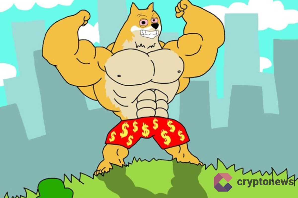 Comment acheter Maxi Doge en 2025 le nouveau meme coin qui fait sensation ?