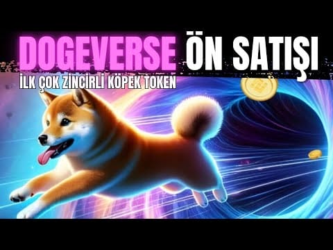 İlk Çok Zincirli Köpek Token’ı DOGEVERSE Ön Satış İncelemesi, Potansiyel Var Mı?