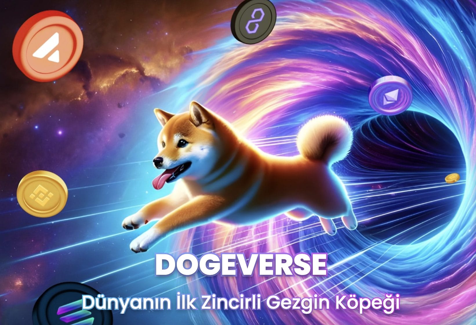 Dogeverse ($DOGEVERSE) Satın Alma – 2024 Kolay Kılavuz