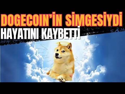 Dogecoin’in Simgesi Hayatını Kaybetti, Doge Alternatifi Ön Satışta 15 Milyon Topladı