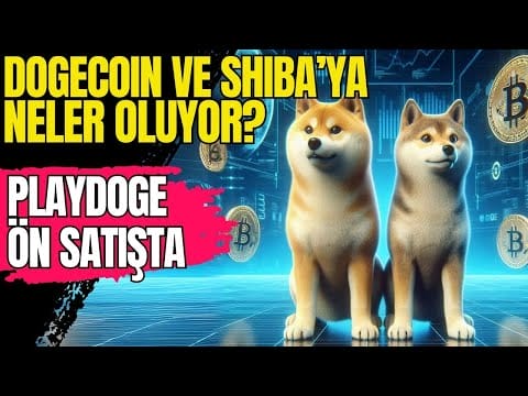 Dogecoin Yükselişte, Shiba Inu’da Dev Yakım, PlayDoge Ön Satışı son Günlerde