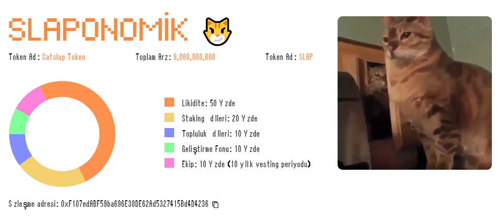 Yeni Meme Coin CatSlap Viral Oluyor