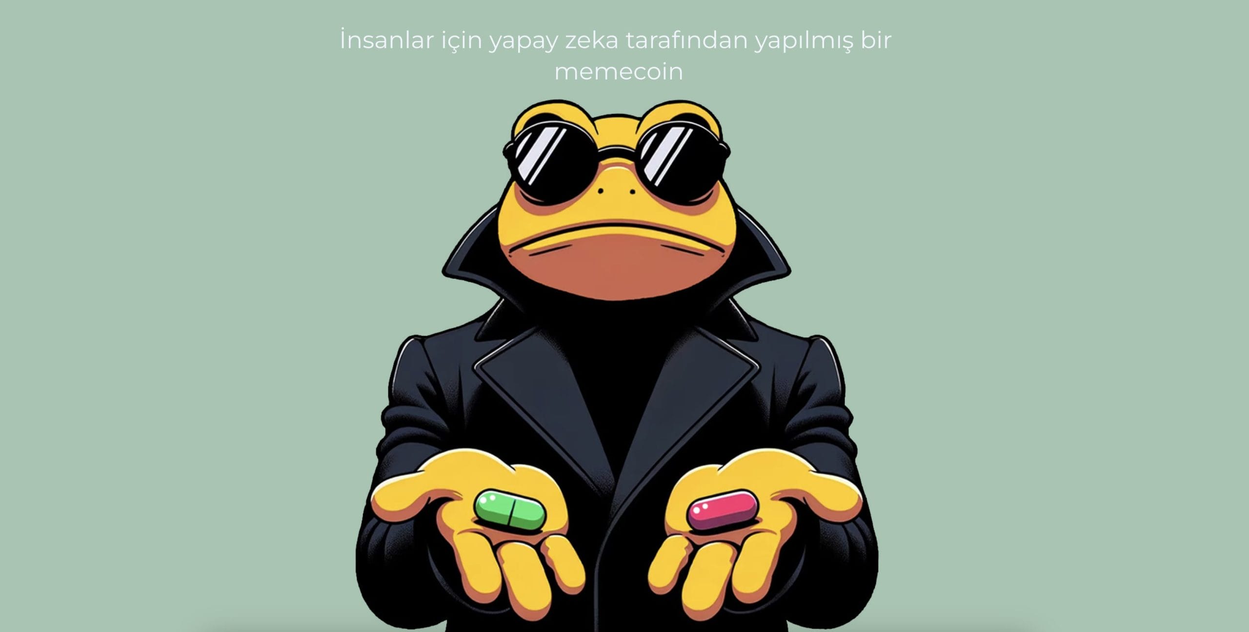 Turbo fiyat tahmini