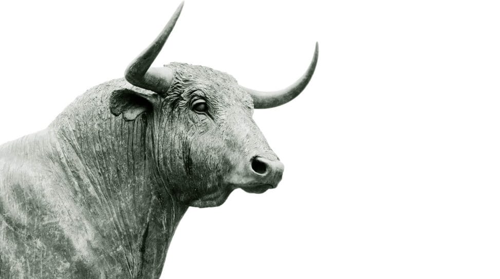 Kripto boğa piyasası nedir