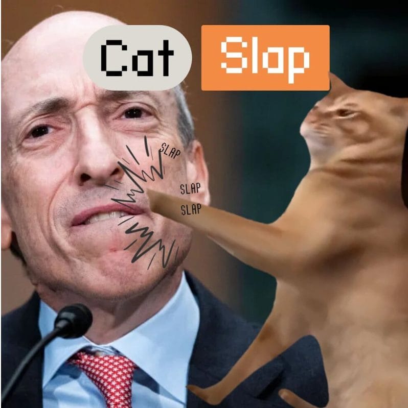 catslap fiyat tahmini