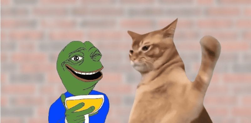 Catslap tokatlama oyunu