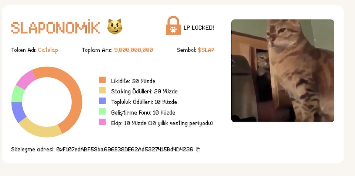 Catslap nasıl alınır? Slaponomik