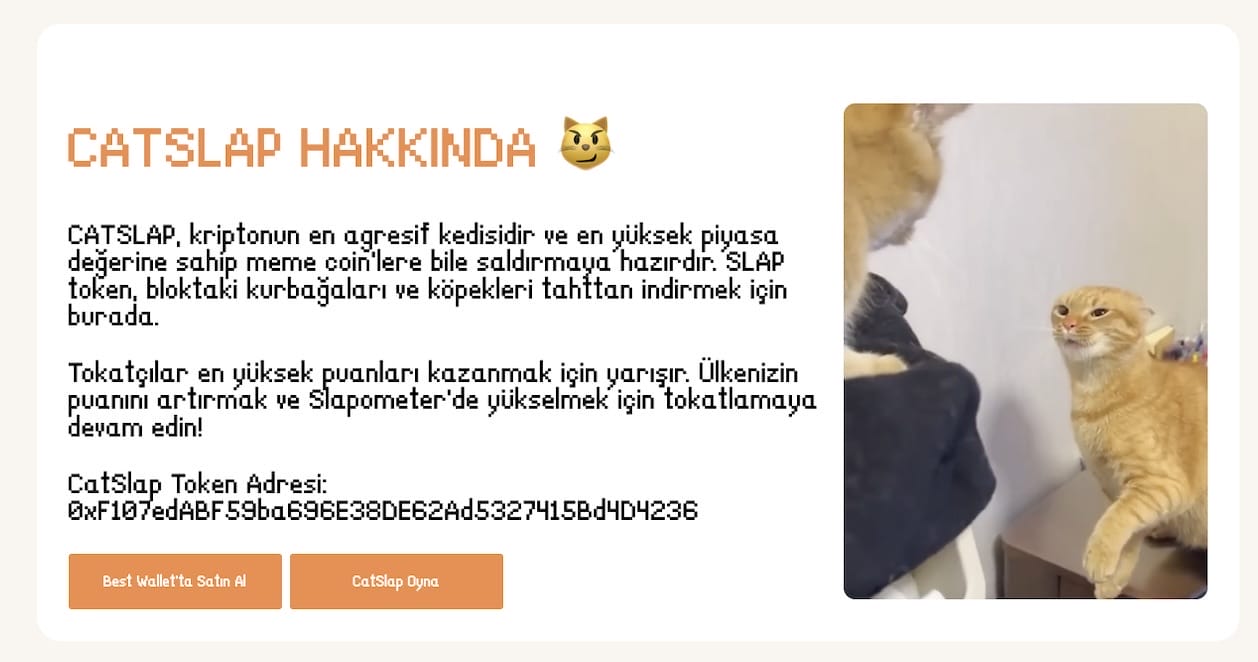 Catslap Nedir?