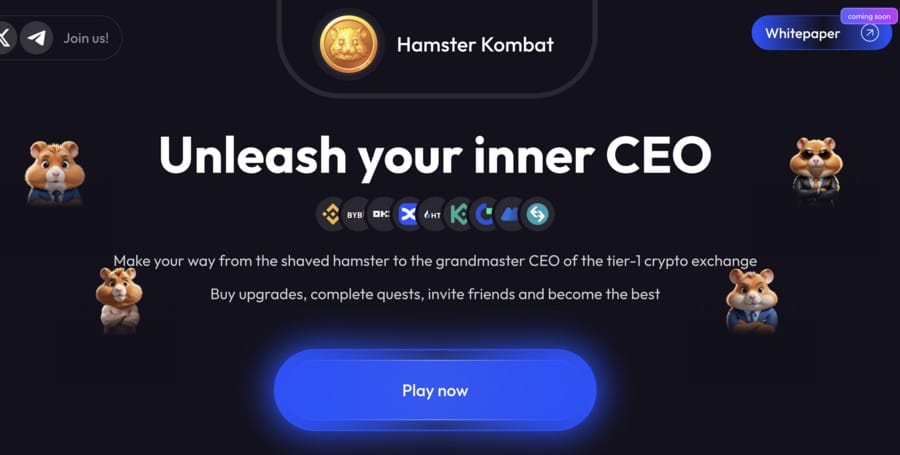 Hamster Kombat Nedir?