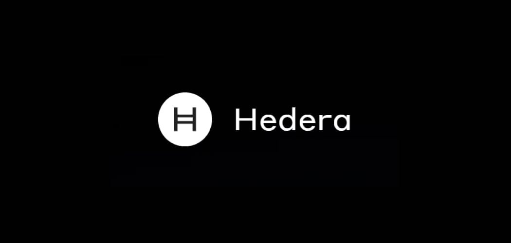 Hedera Nasıl Alınır –  2025 Detaylı Rehber