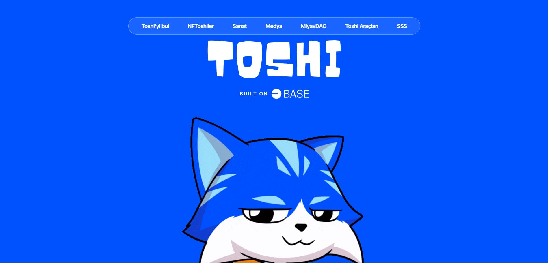 Base Ekosisteminin Kedi Temalı Projesi 