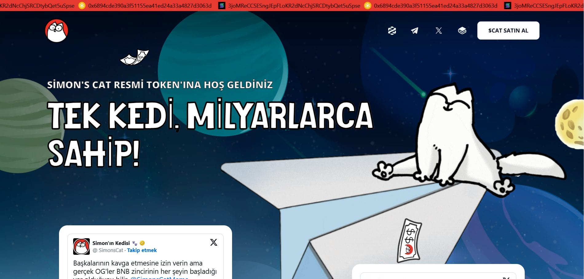 BNB Chain’deki En Büyük Kedi Coin