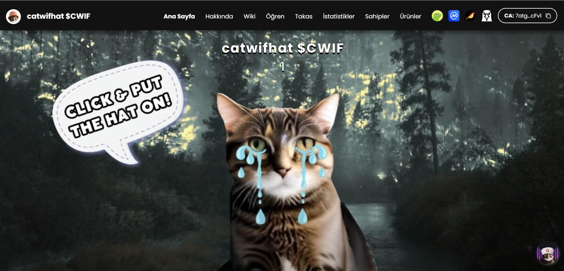 Solana Tabanlı Kripto Proje