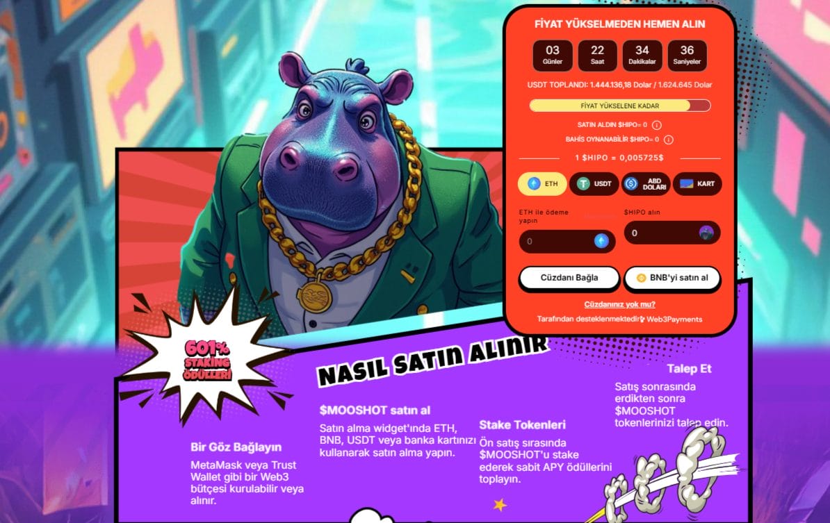 Boğa koşusu için en iyi altcoin projeleri