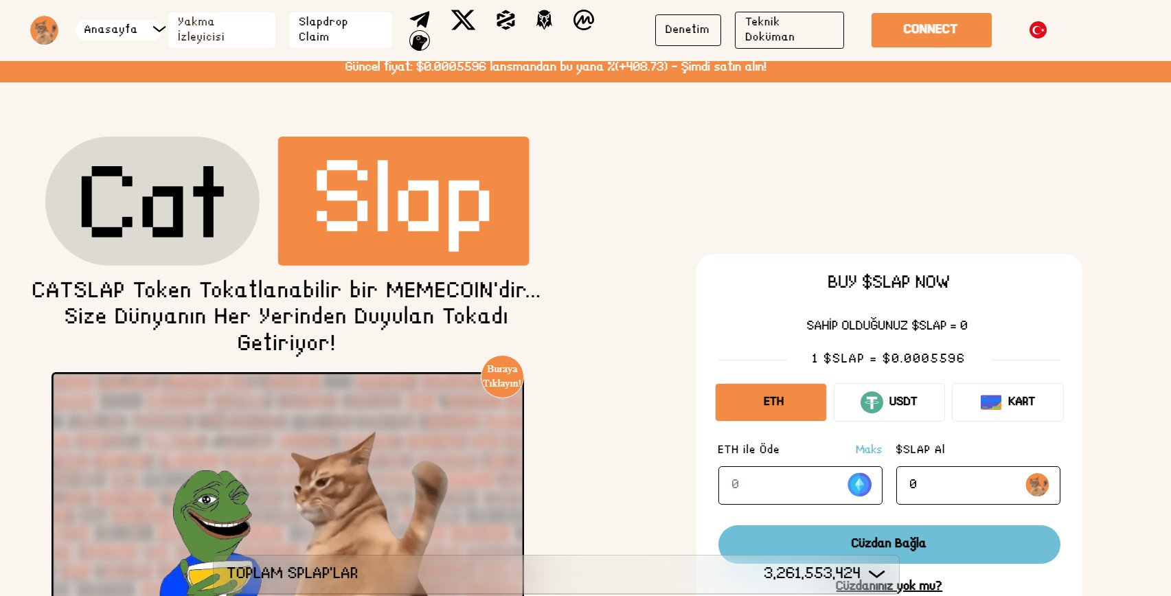 Catslap Projesi Detayları