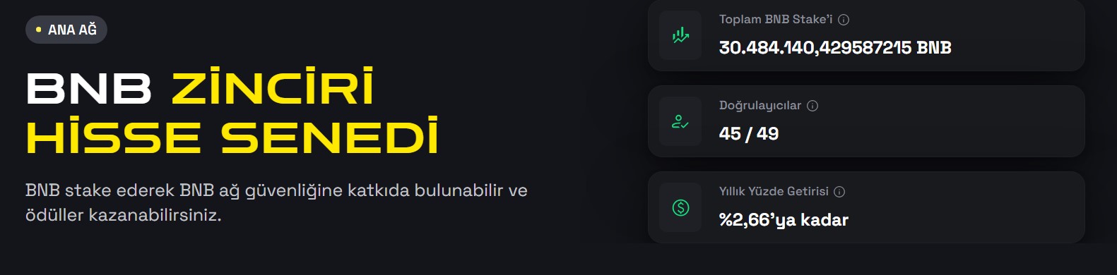 BNB Stake ile Kripto Cüzdanını Şişir - Ücretsiz Kripto Para Kazanma Şansı