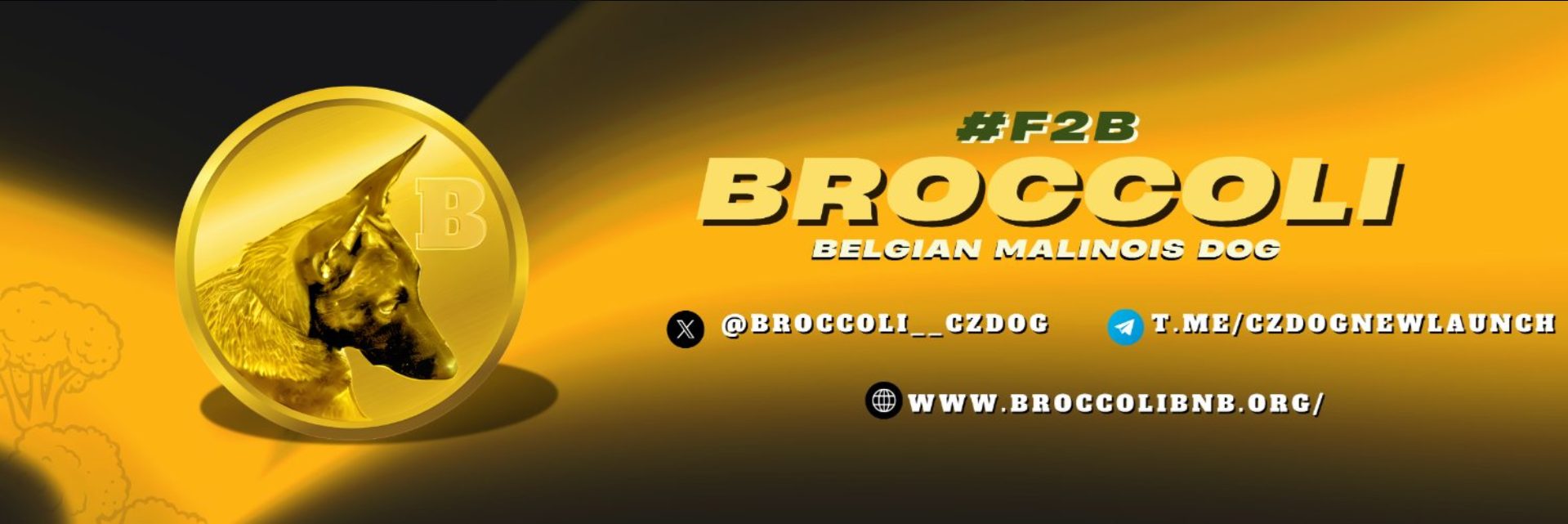 Broccoli Nasıl Alınır? – Bilmeniz Gerekenler